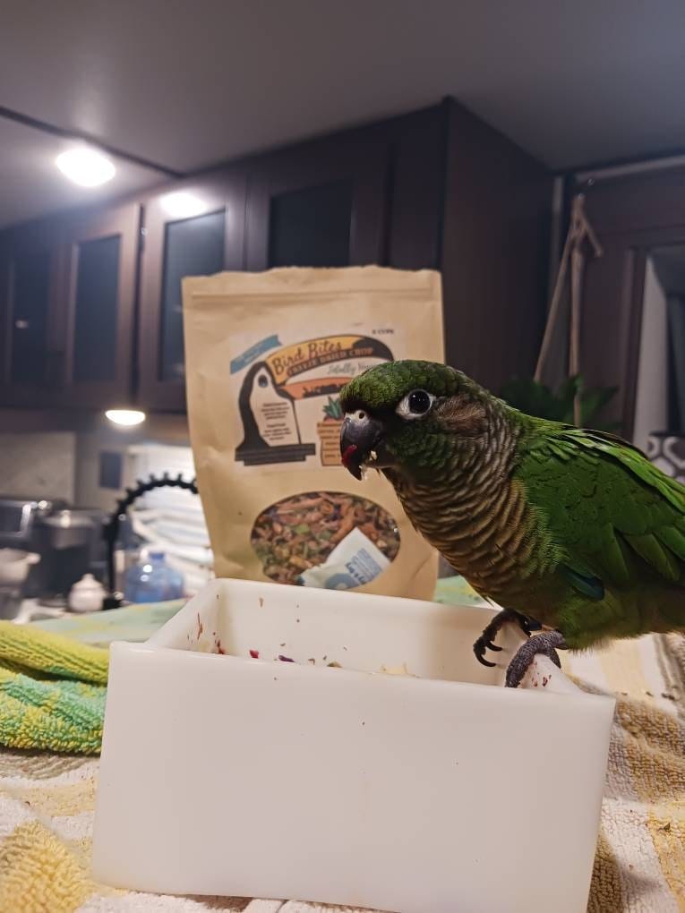 Customer photo review of Bird Bites Freeze Dried Chop - Totally Veggies - No Fruit