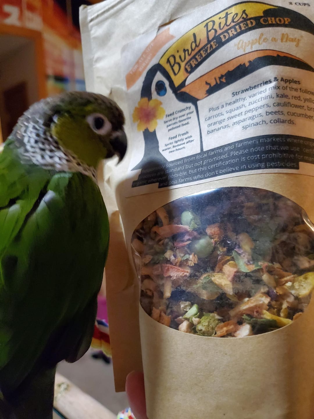 Customer photo review of Bird Bites Freeze Dried Chop - Daily Fruits & Veggies, 4 Flavors to Choose From