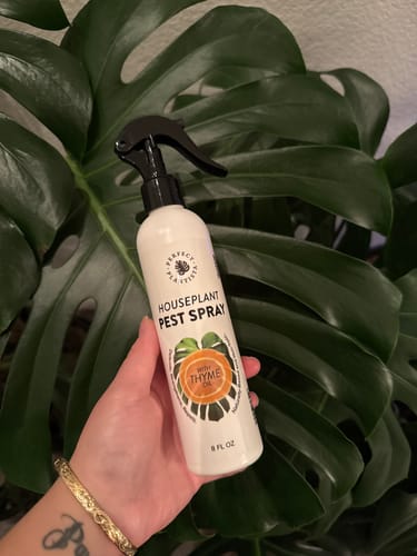 Customer photo review of Houseplant Pest Spray