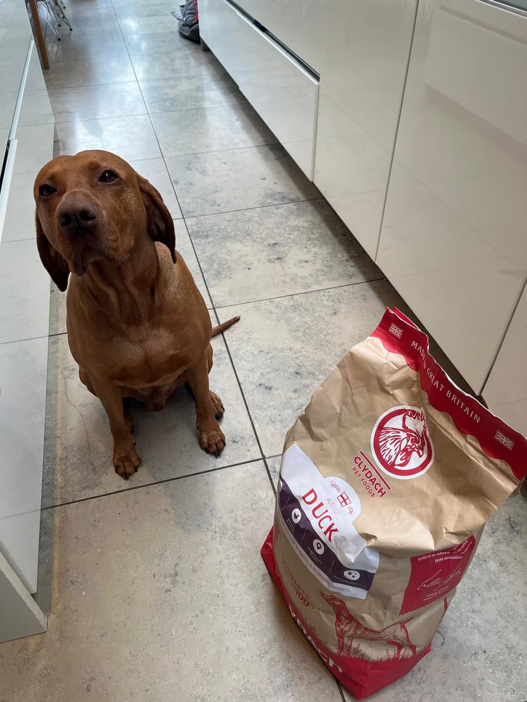 Customer photo review of British Venison Dry Food