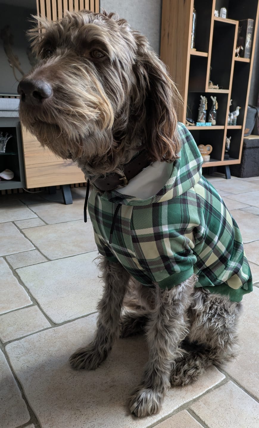 Customer photo review of Green Plaid Human Hoodie