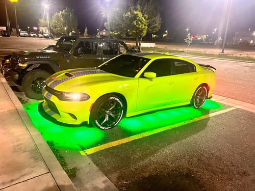 Customer photo review of LitGlow Pro RGB IC Rock Light Kit (2-24 Pods)