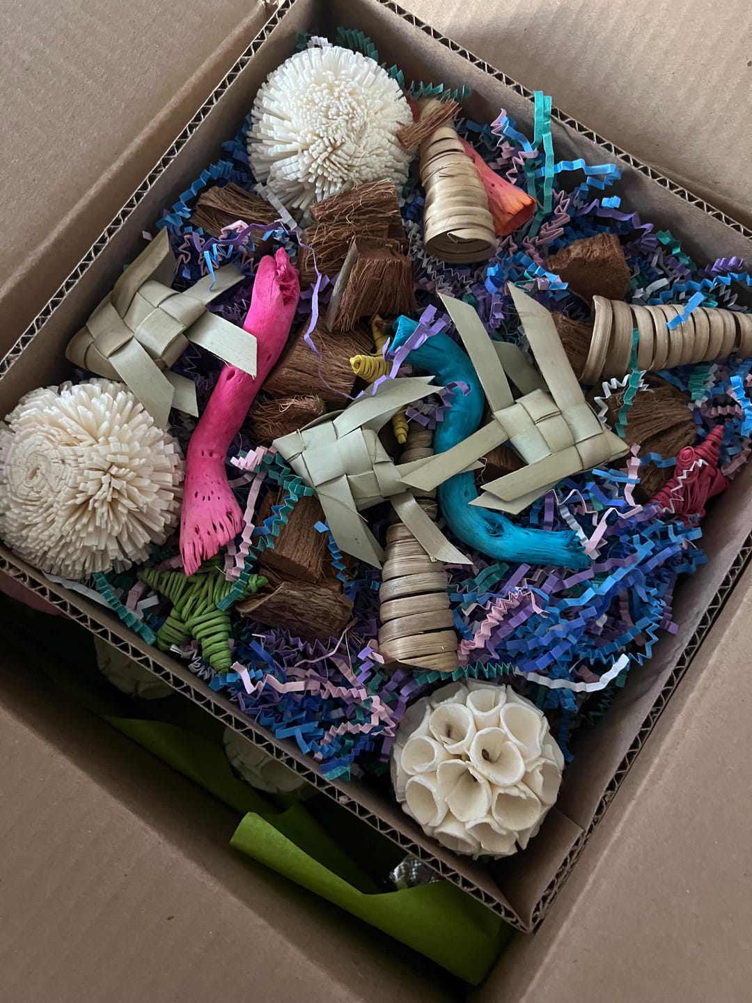 Customer photo review of "BYOT" Foraging Flats by Cheep Thrills