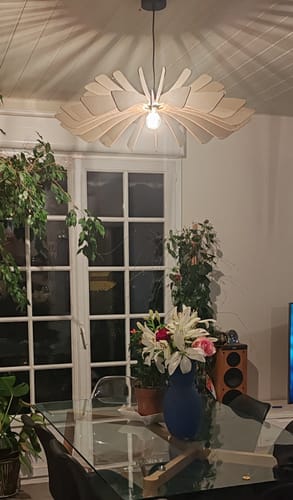 Customer photo review of Aurora | Suspension