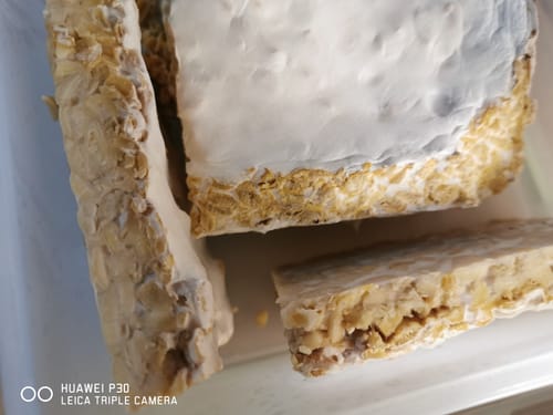 Customer photo review of BIO Tempeh-Komplettset: Starterkultur, Sojabohnen & Guide für 75 kg