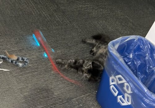 Kundenbewertung – Foto