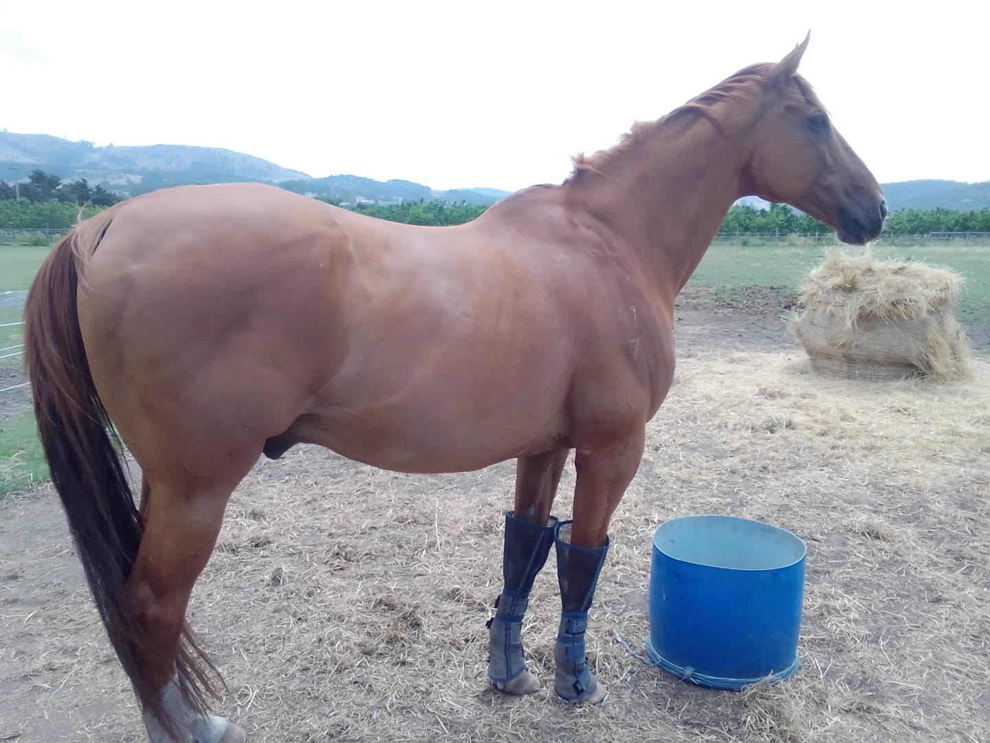 Customer photo review of LE Defender Fly Boots