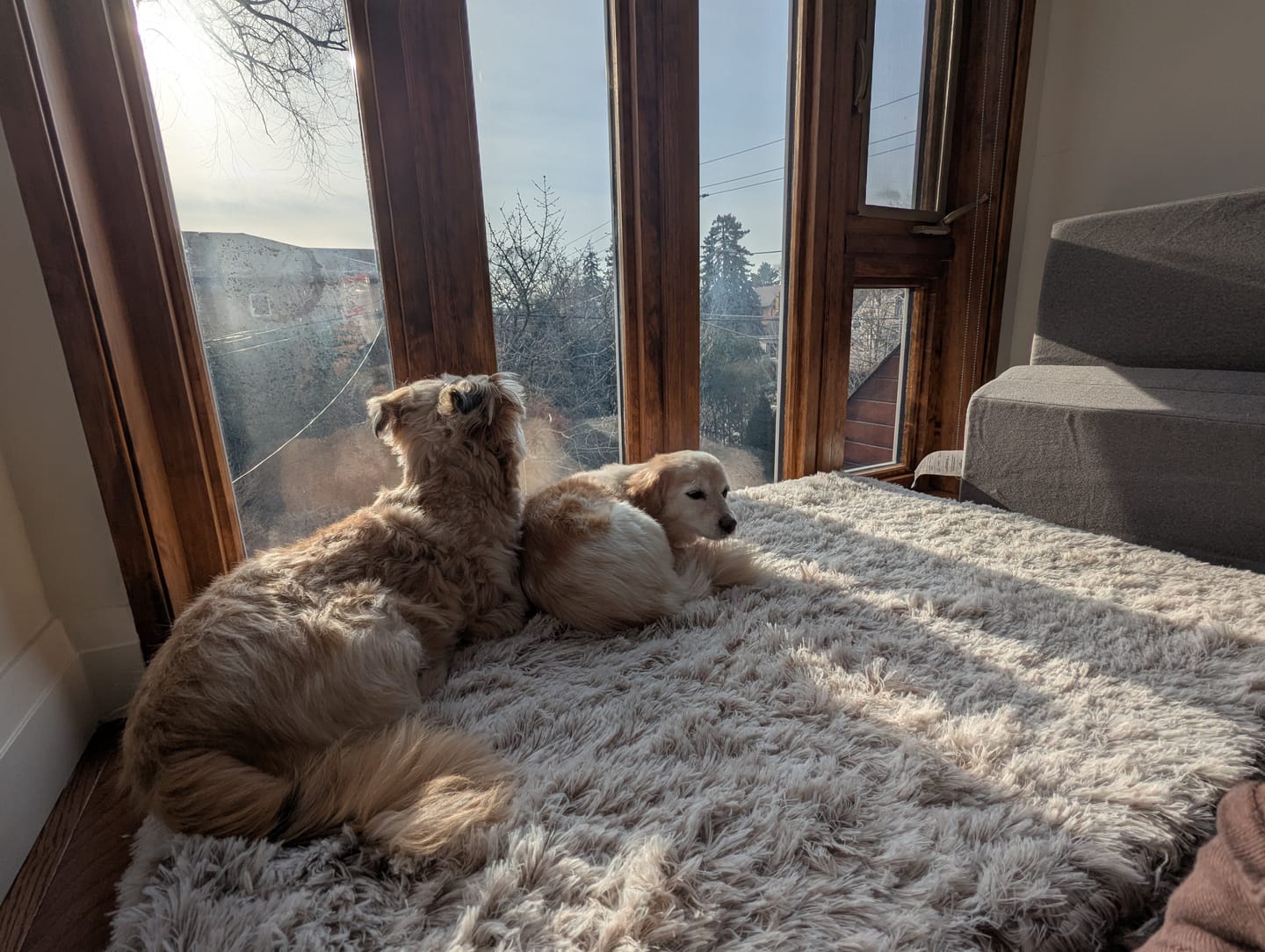 Customer photo review of Brooklyn® Ultra Memory Foam Bed