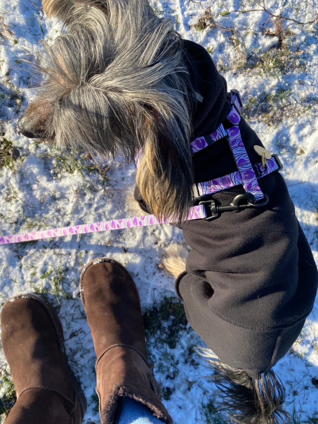 Customer photo review of Smycz miejska "Amethyst" - czarne okucia