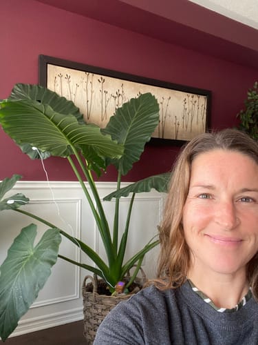 Customer photo review of PlantWave