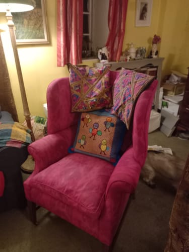 Customer photo review of Fabric Paint -- Raspberry