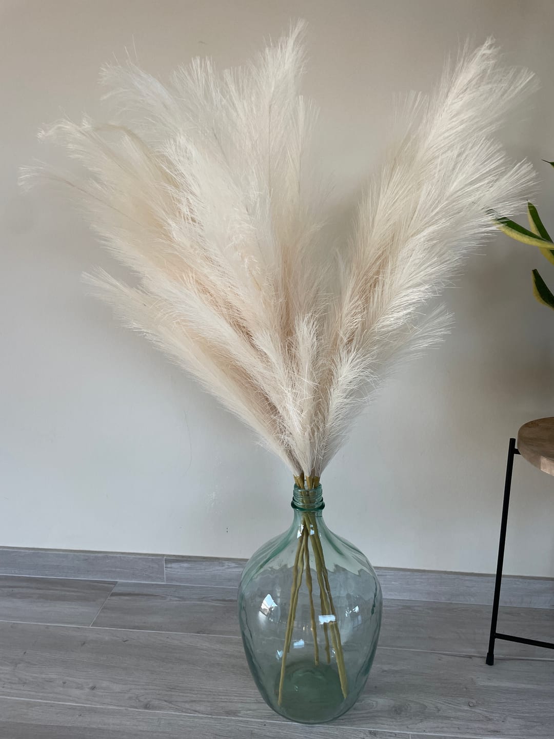 Customer photo review of Pampas 110cm (3 stengels)- Beige
