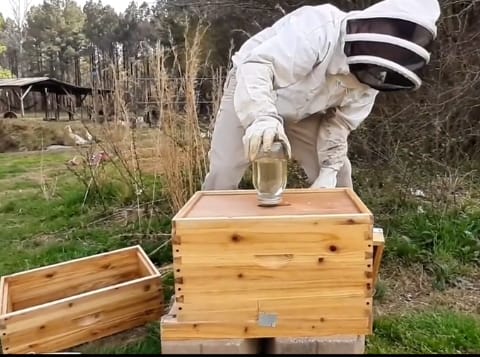 Customer photo review of (No Frame No Foundation)MayBee Hives Beekeeping Accessories Kit Hive Beeswax Coated 10 Frame Langstroth Beehive Include 1 Bee Deep Body And 1 Bee Super Hive Body (Metal Queen Excluder,Solid Bottom Board)