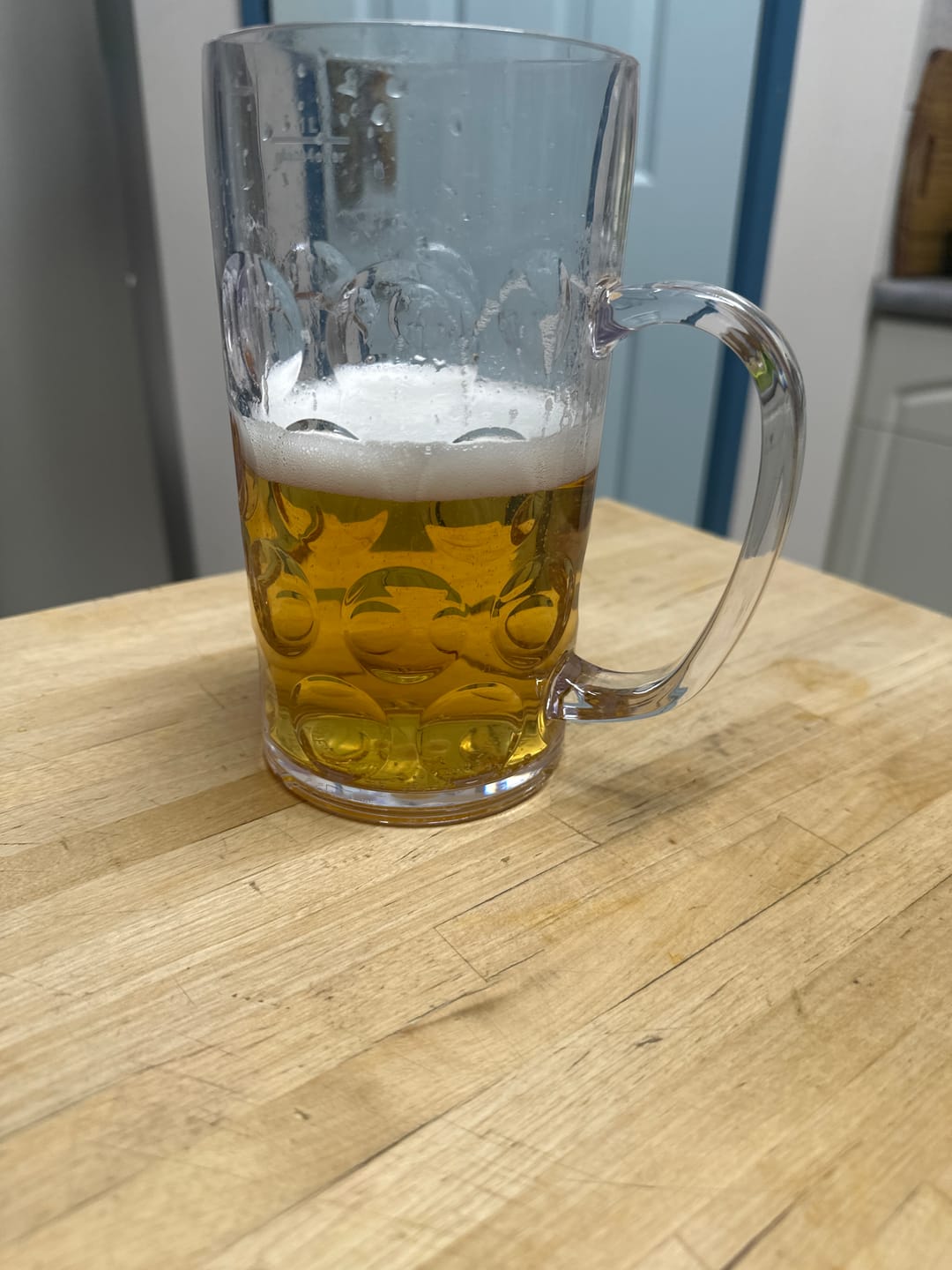 Customer photo review of Unbreakable Stein - 1120ml, Polycarbonate