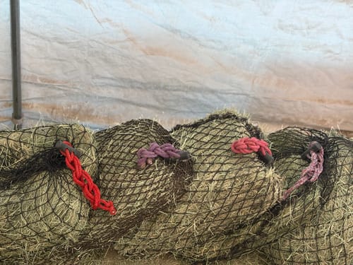 Customer photo review of Hay Chix® Half Bale Net