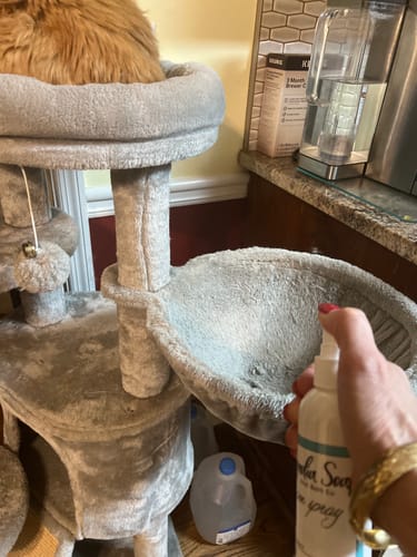 Customer photo review of Room Spray