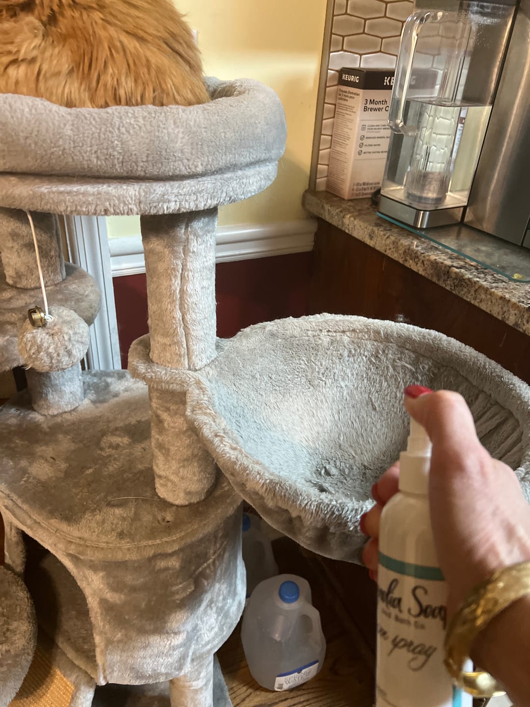 Customer photo review of Room Spray