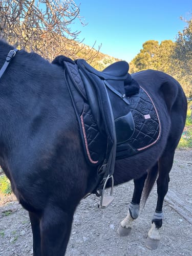 Customer photo review of SERENA - DRESSAGE SADDLE PAD | BLACK ROSE GOLD