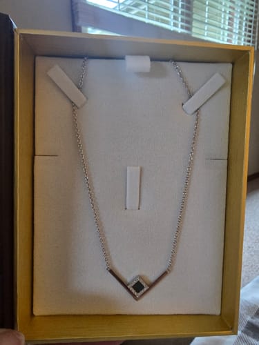 Customer photo review of V Shiny Necklace