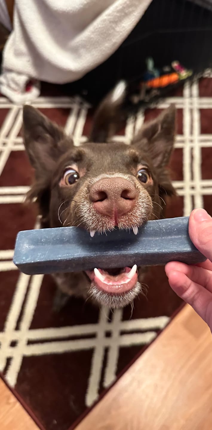 Customer photo review of Blueberry Himalayan Yak Chew (MEDIUM)