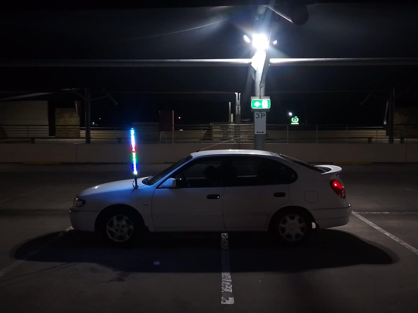Customer photo review of 3ft LED Whip Lights