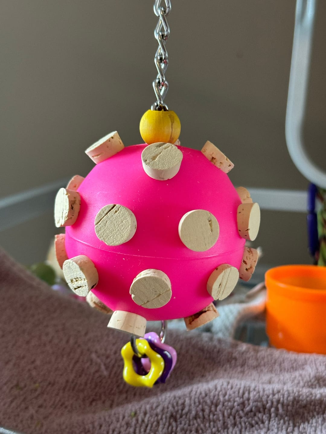 Customer photo review of Quirky Corky by Cheep Thrills Bird Toys