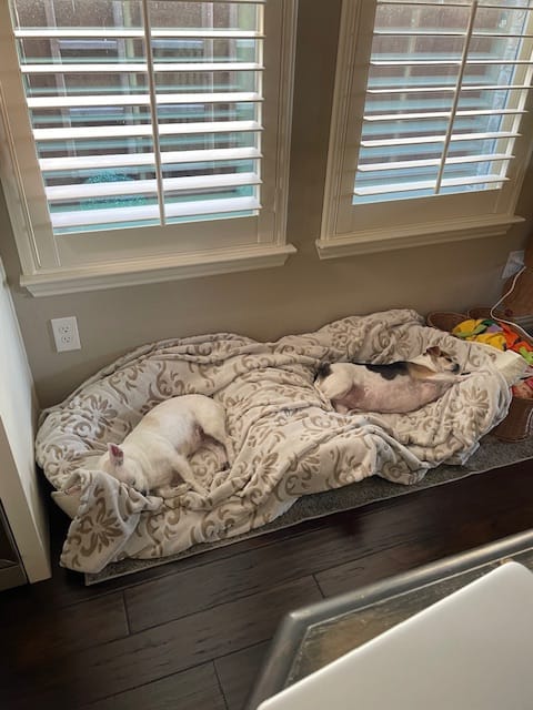 Customer photo review of Heated Mattress Pad