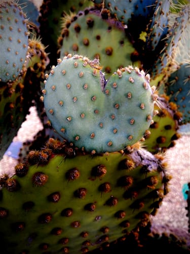 Customer photo review of 16x20 Photo Prints