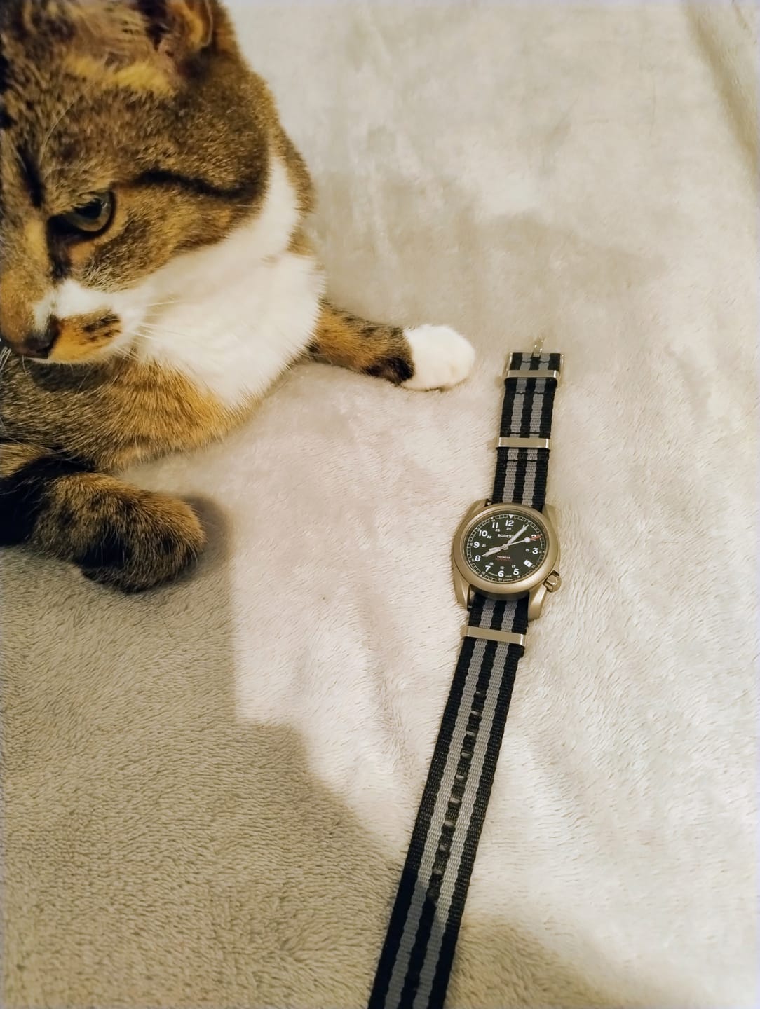 Customer photo review of VOYAGER - 100M Waterproof Titanium Automatic Field Watch | Black