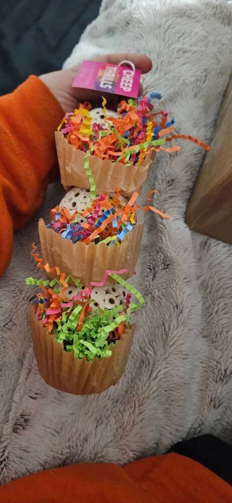 Customer photo review of Triple Scoop - Cheep Thrills Bird Toys