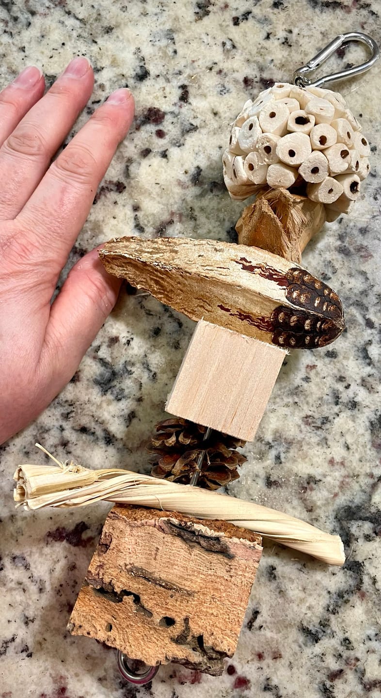 Customer photo review of Natural Sampler Variety Pack