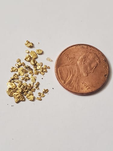Customer photo review of 5 Lb. NUGGET RESERVE™ Gold Paydirt Unsearched BOGO