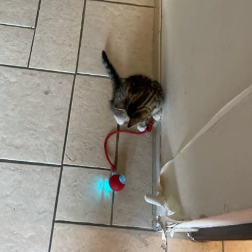 Kundenbewertung – Foto