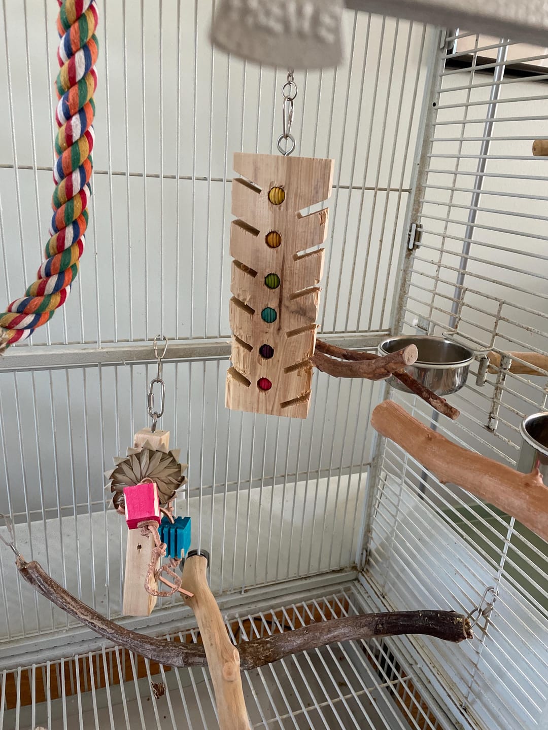 Customer photo review of Stop! Forage Time by Cheep Thrills Bird Toys