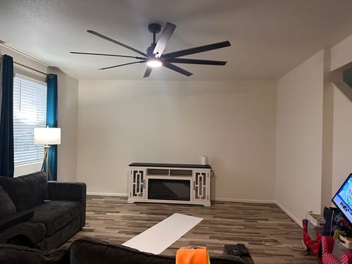 Customer photo review of "Nautilus" Oversized Wall Mural