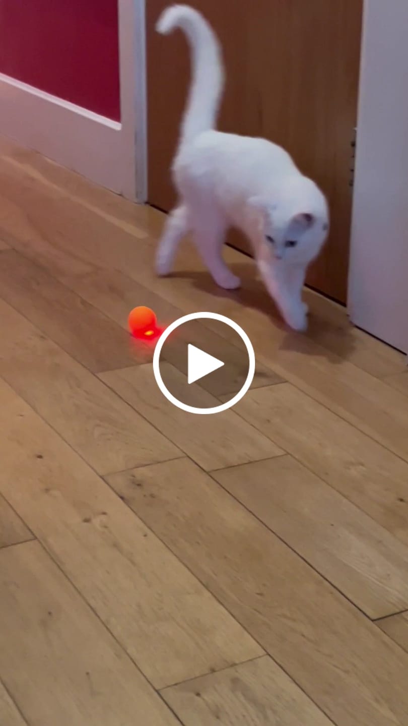 Customer video review of Power Ball 3