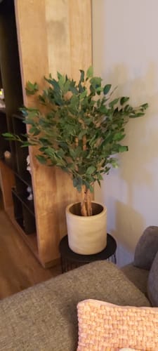 Customer photo review of Ficus Kunstboom 90cm