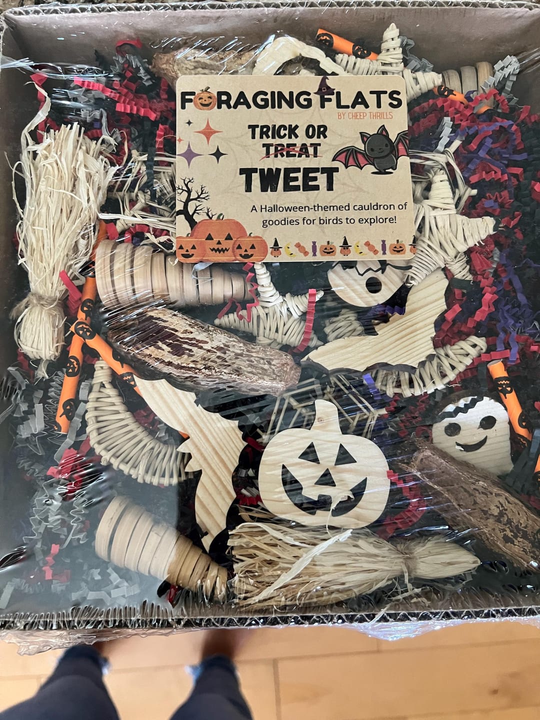 Customer photo review of Halloween Edition Foraging Flat - Trick or TWEET