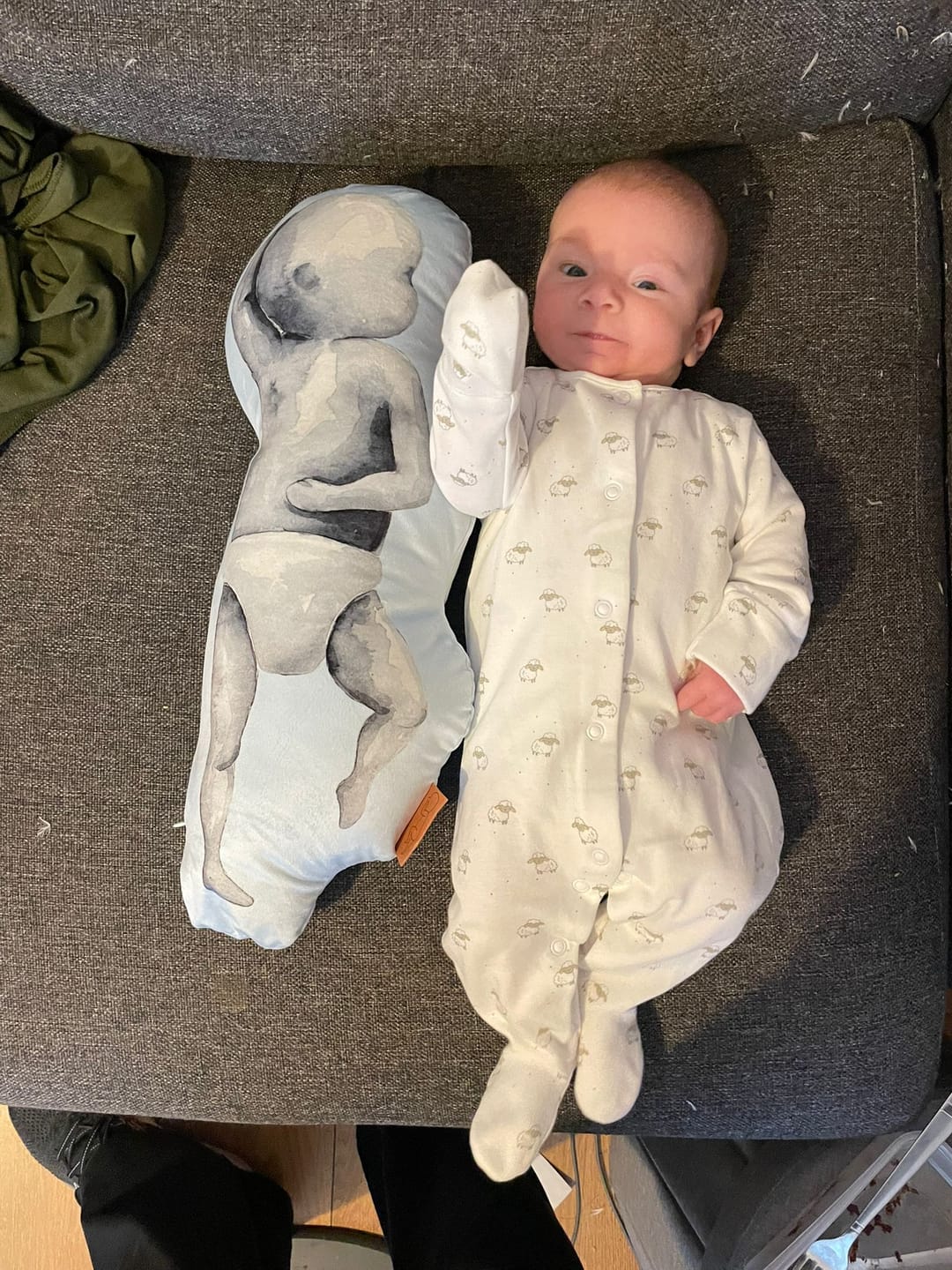Customer photo review of Birth Pillow Watercolor Three