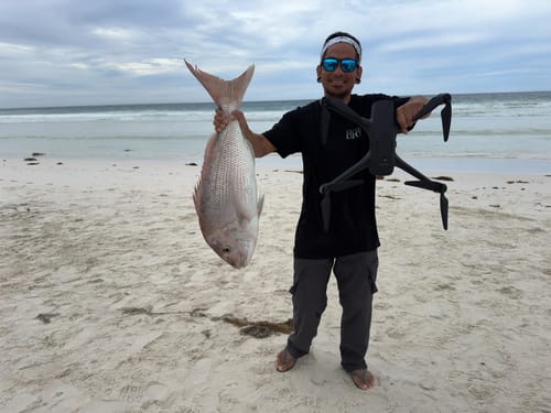 Customer photo review of Aeroo Protect for Aeroo Pro - 12 Months