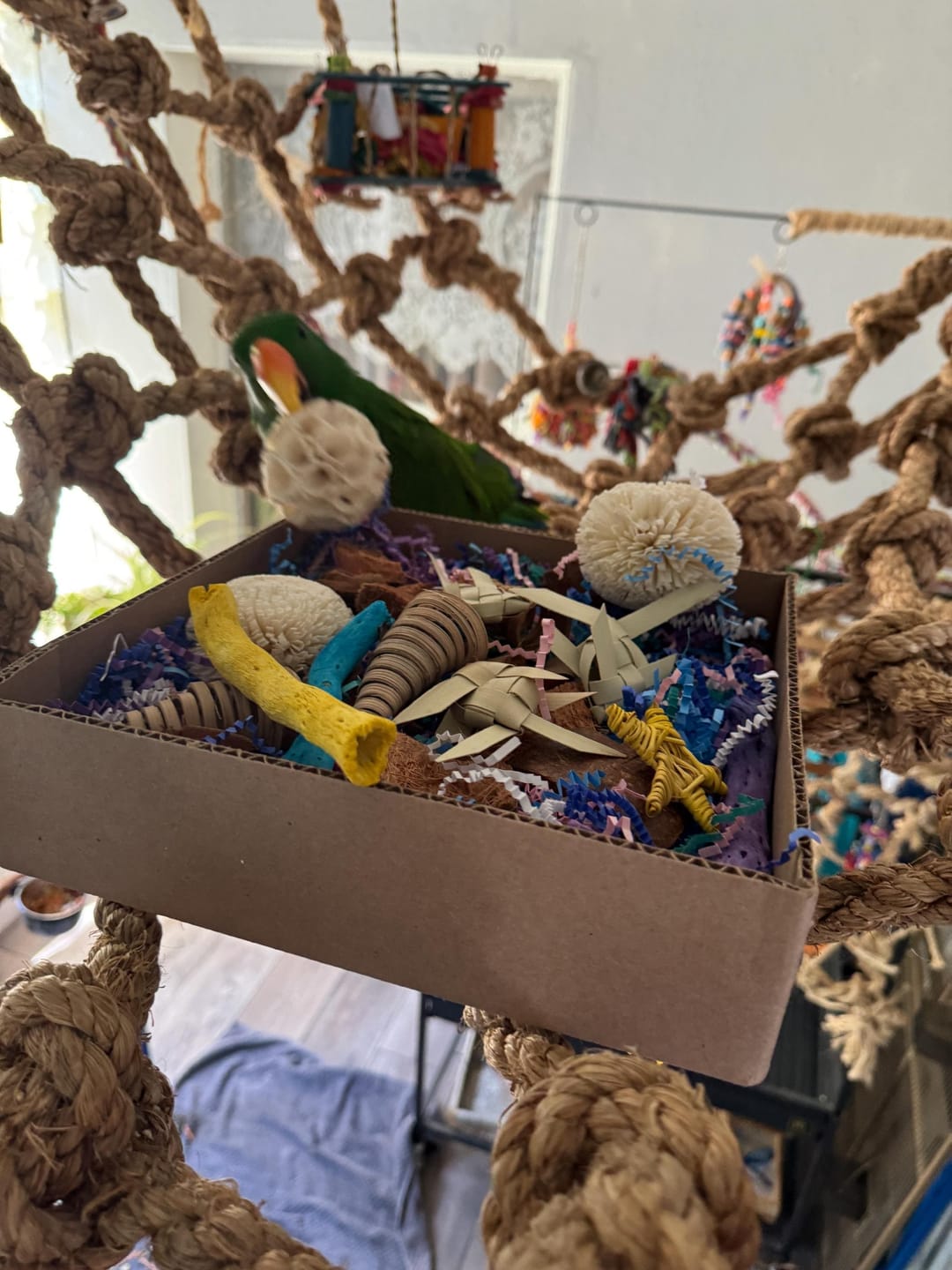 Customer photo review of "BYOT" Foraging Flats by Cheep Thrills