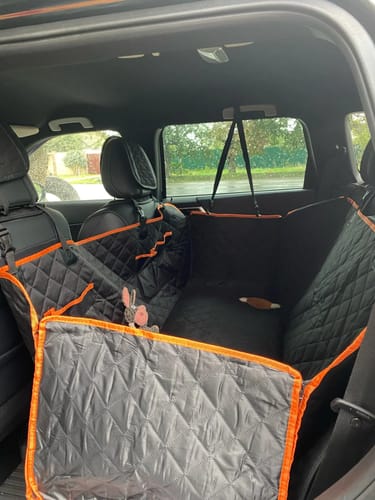 Customer photo review of Supori - The Pet Pad