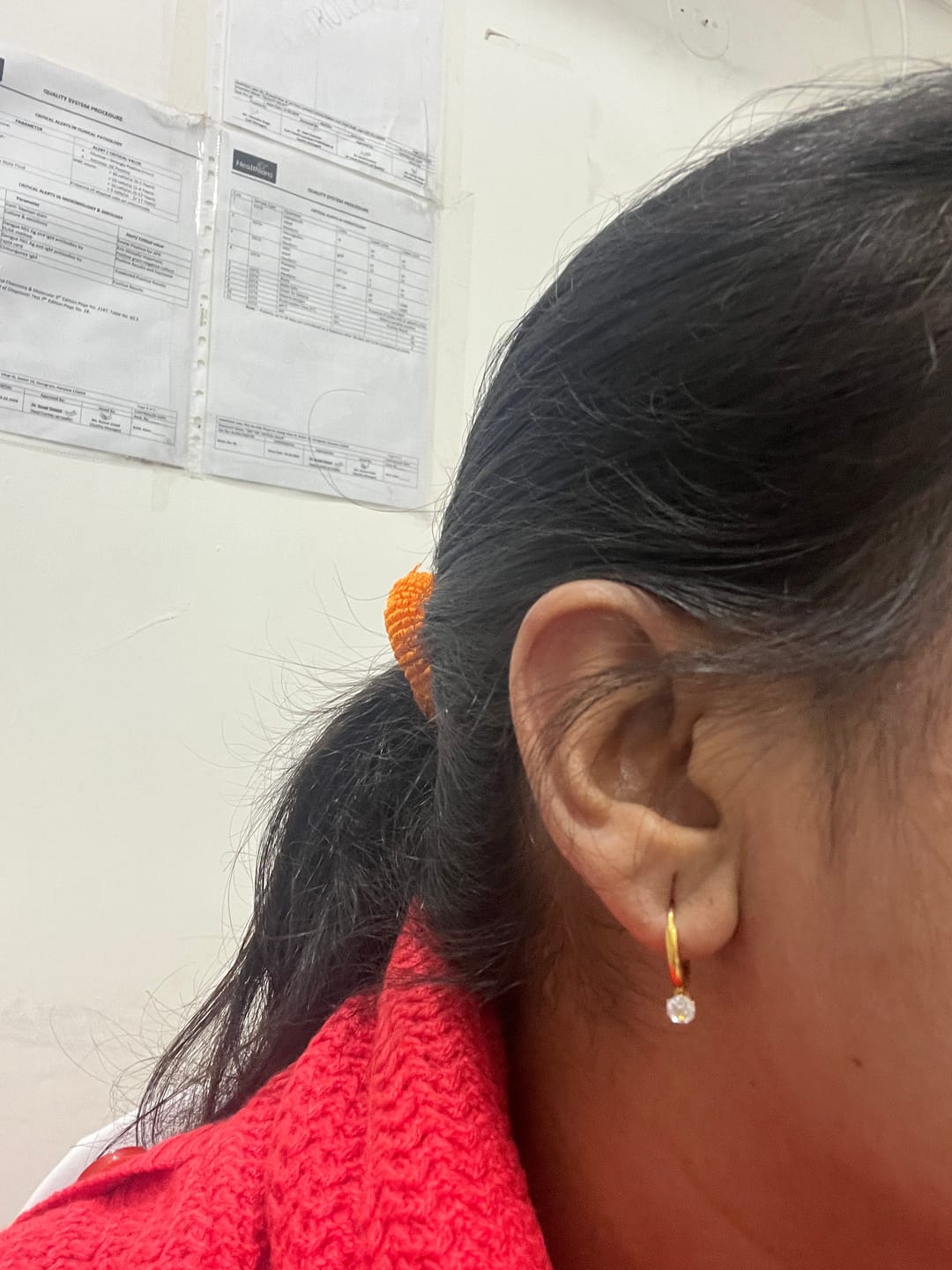 Customer photo review of Oval Shape Hoop Earrings