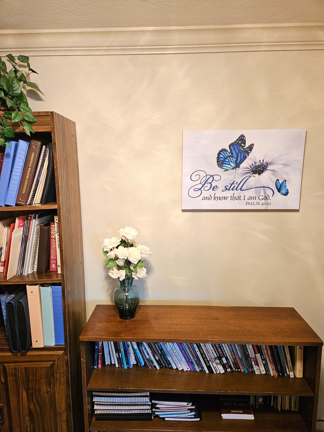 Customer photo review of Butterfly Flower Be Still And Know That I Am God Psalm 46:10 Wall Art Canvas