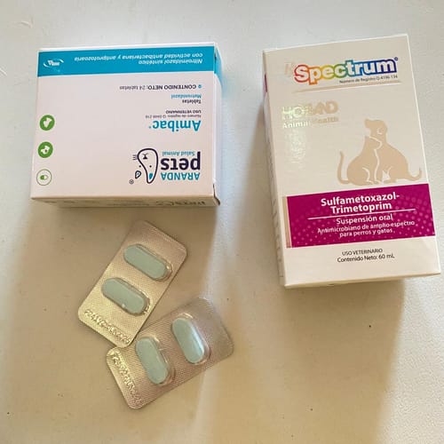 Customer photo review of Amibac®