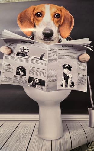 Customer photo review of Important meeting- Personalized poster