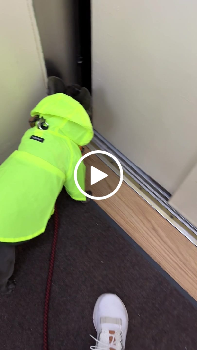 Customer video review of Nylon Rainbreaker