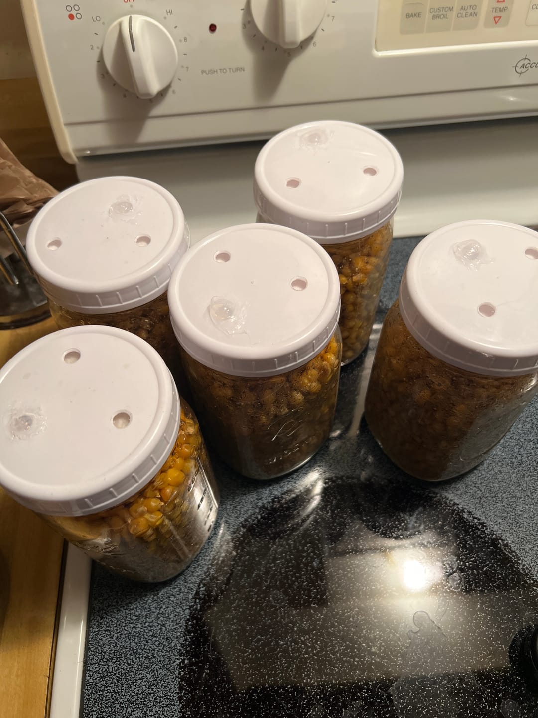 Customer photo review of Synthetic Jar Lid Filter Discs