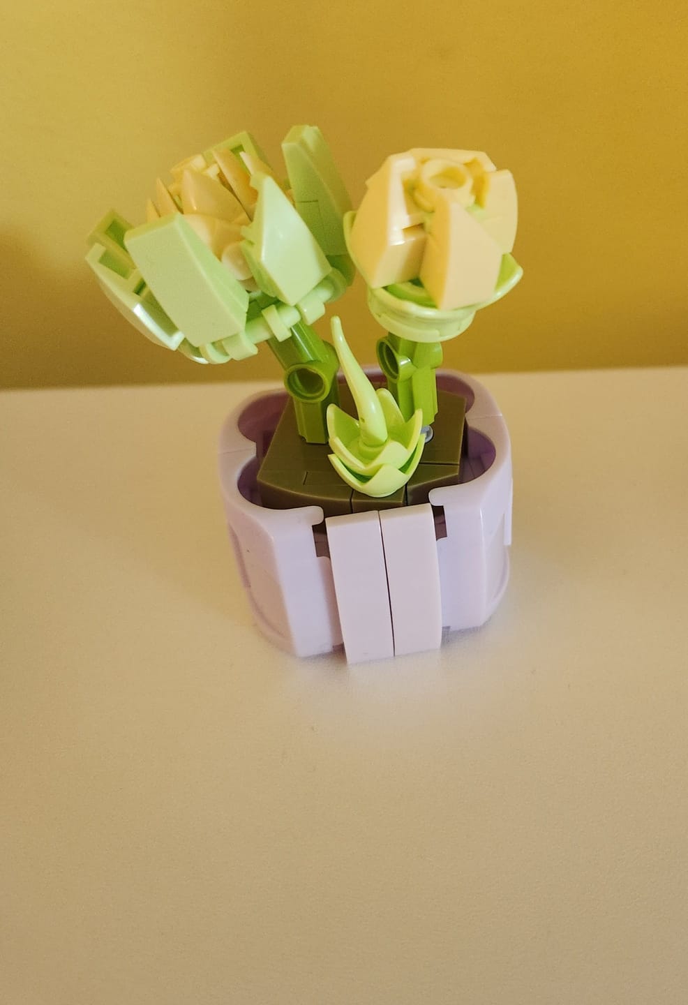 Customer photo review of FREE NEW YEAR HOLIDAY GIFT!