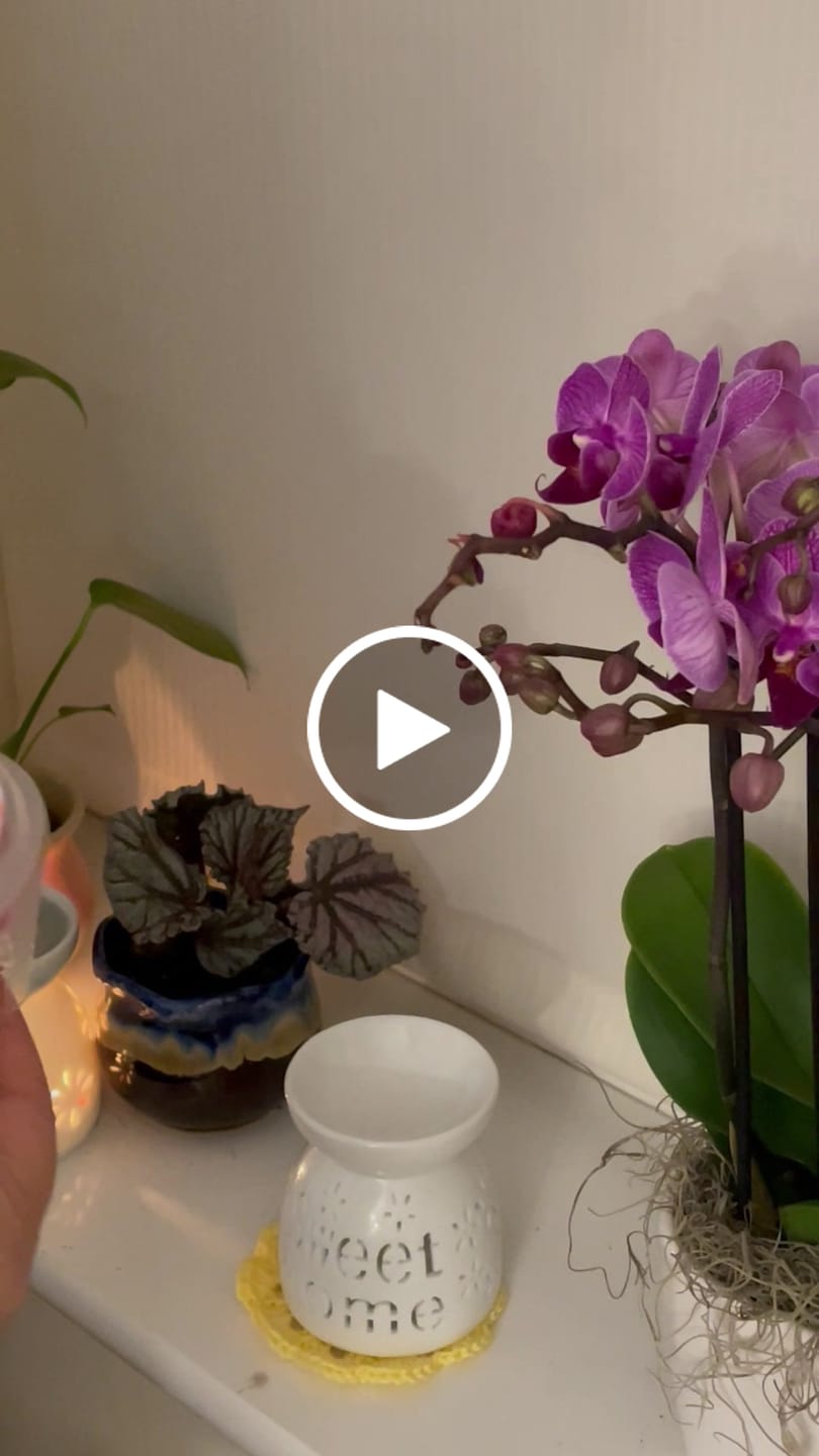 Customer video review of Flower Explosion Gel Melt